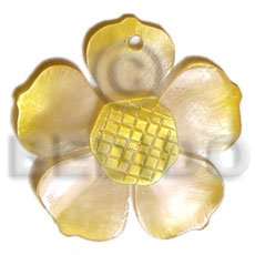 graduated yellow 25mm hammershell flower  grooved nectar - Shell Pendant